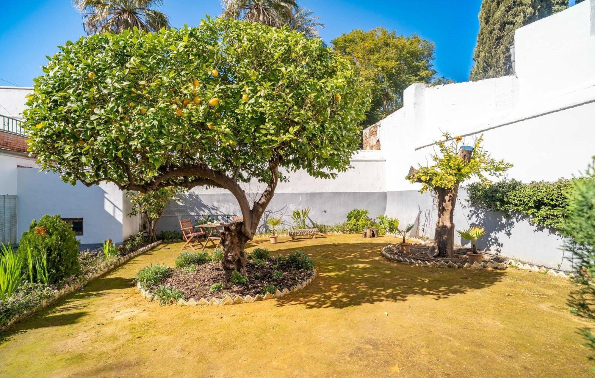 Апартаменты La Casa Del Limonero Пеньяфлор Экстерьер фото